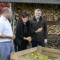 BILLA Vertriebsdirektor Thomas Steingruber (rechts außen) und BILLA Regionalscout Albert Mayer (links außen) zu Besuch bei Karin Maleninsky in Enns.