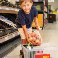 Junge in einem Supermarkt hält einen Netzbeutel voller Äpfel und legt sie in einen Korb. Im Hintergrund sind Regale mit weiteren Lebensmitteln zu sehen.
