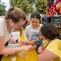 Schulkinder stellen am BILLA MARKTplatz selbst Mehl her