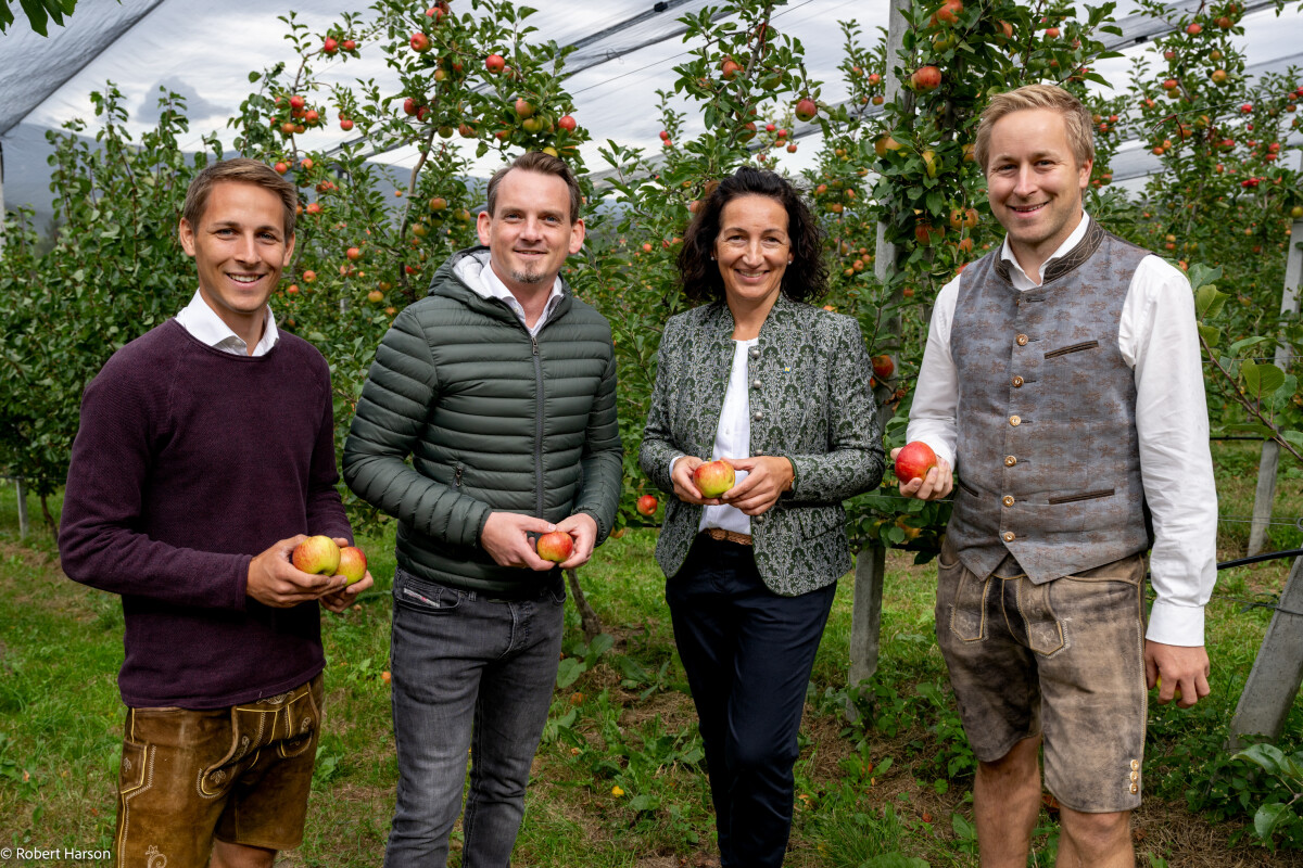 Am Obsthof Most Michl in Götschach wurden Äpfel verkostet. Im Bild von links: Michael Simon vom Obsthof Most Michl, BILLA Vertriebsdirektor Stefan Weinlich, Landeskammerrätin Waltraud Ungersböck, Christoph Simon vom Obsthof Most Michl.