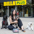 Die ALTO Petfood Hundepralinen sind ab sofort bei BILLA PLUS erhältlich.