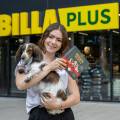 Die ALTO Petfood Hundepralinen sind ab sofort bei BILLA PLUS erhältlich.