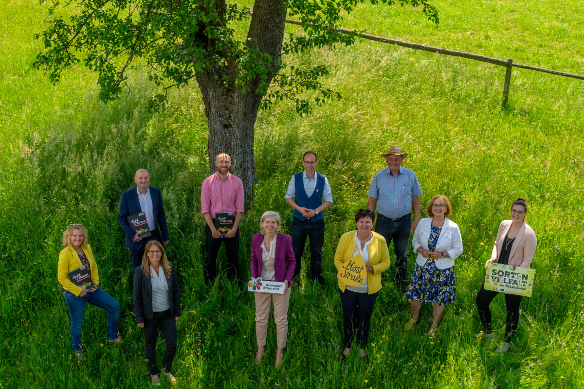 Projektstart Erhaltung der Streuobstwiesen im Mostviertel. Erste Reihe v.l.n.r.: Gerlinde Handlechner (Pomologin), Martina Schmidthaler (Pomologin), Tanja Dietrich-Hübner (Bereichsleiterin Nachhaltigkeit REWE International AG), Landtagsabgeordnete Michaela Hinterholzer (Obfrau LEADER Region Tourismusverband Moststraße, Bürgermeisterin Oed-Öhling), Maria Kogler (Bürgermeisterin Neuhofen an der Ybbs), Maria Ettlinger (GF LEADER Region Tourismusverband Moststraße). Zweite Reihe v.l.n.r.: Johann Roitinger (BILLA Vertriebsleiter Niederösterreich), Ronald Würflinger (GF Blühendes Österreich), Mathias Weis (Biologe, Projektleiter LEADER Region Tourismusverband Moststraße), Johann Hartl (Obmann ARGE Streuobst Österreich).