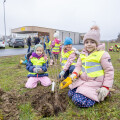 Kinder des Kindergartens St. Georgen an der Stiefing beim Einsetzen der Sträucher.