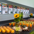 Ein Buffet mit einem Arrangement aus Gemüse-Sticks, Obst, kleinen Snacks und Sonnenblumen. Im Hintergrund sind Poster mit Informationen über österreichische Spezialitäten an der Wand angebracht.