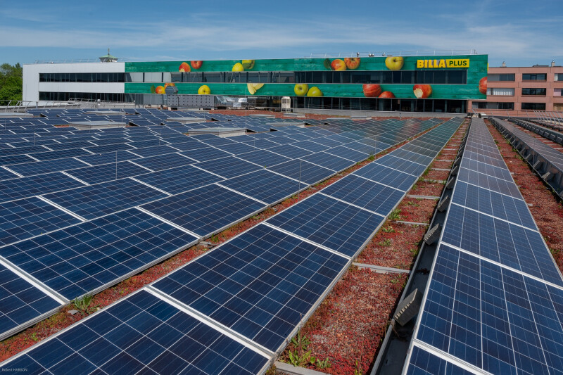 Solarmodule auf einem Dach vor einem Gebäude mit einer großen Werbetafel der Marke "BILLA Plus". Der Himmel ist klar und blau.