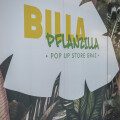 Austria's second BILLA PFLANZILLA opens in Graz city center and now offers 100 percent plant-based enjoyment.