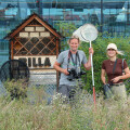 The zoological monitoring under the direction of Dr. Gernot Kunz examined a total of 20 renaturalized green spaces between 210 m 2 and 810 m2 at BILLA stores in Lower Austria as well as a still intensively managed lawn mower meadow in Styria with regular mowing