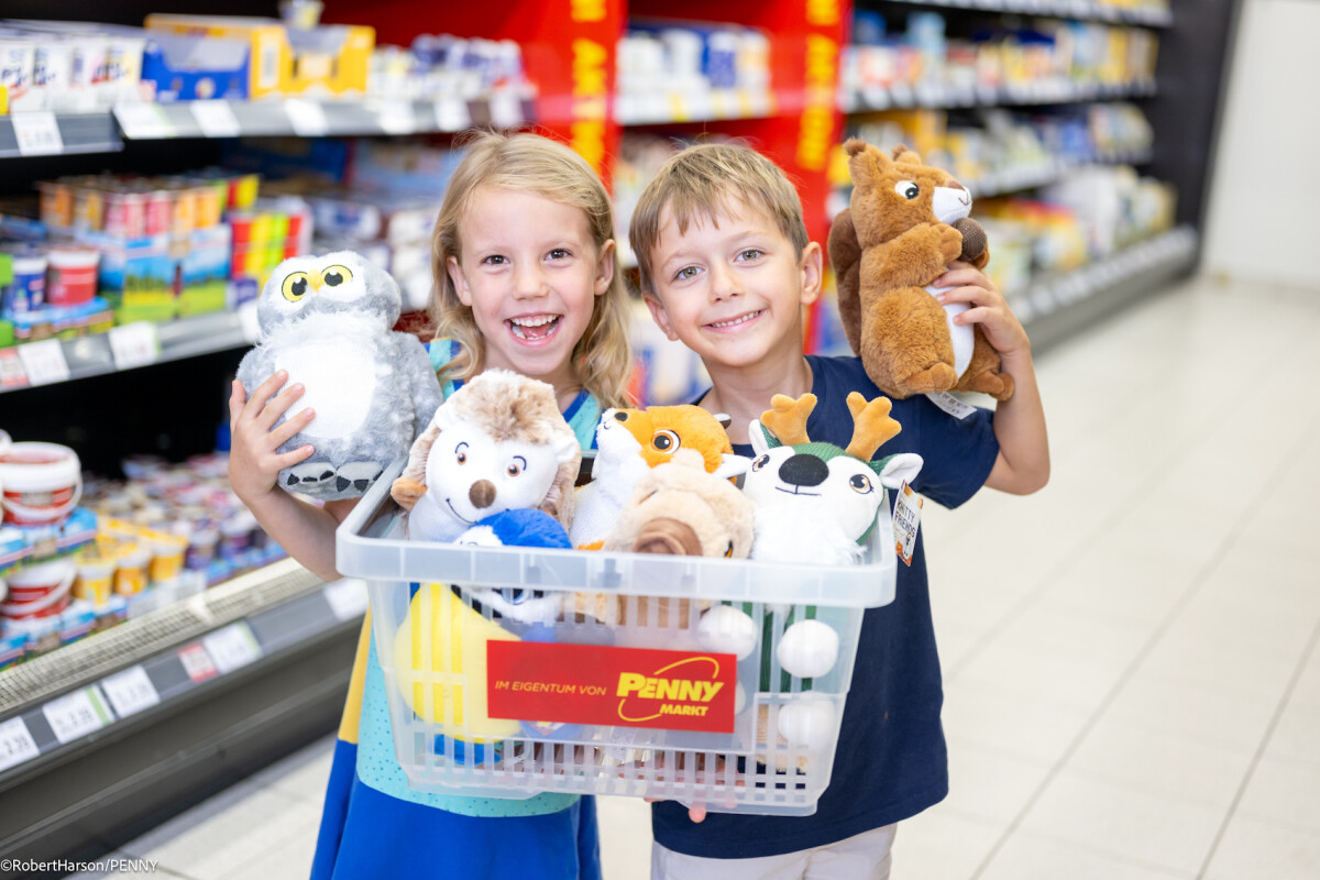 From mid-September, small and large forest and nature enthusiasts will collect the cuddly toys from