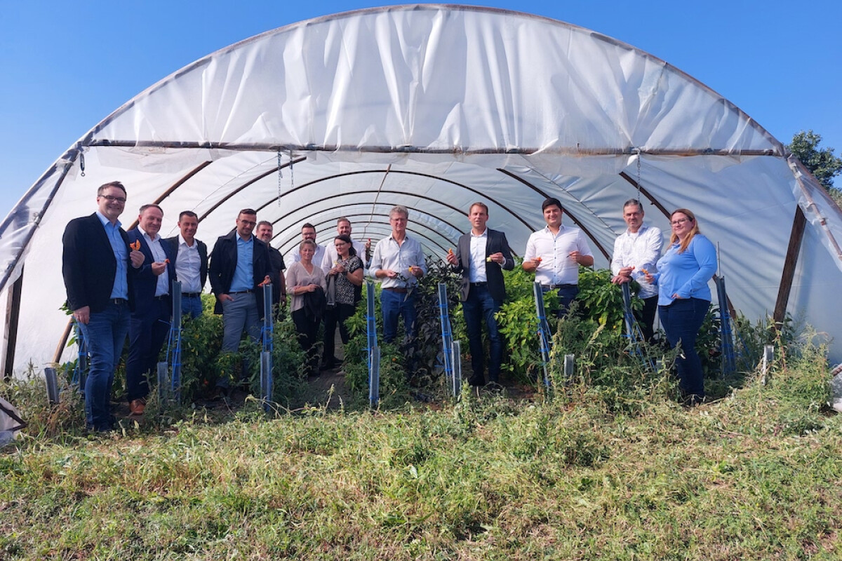 As part of the BILLA regionality tour, the employees paid Tschida Chili a visit