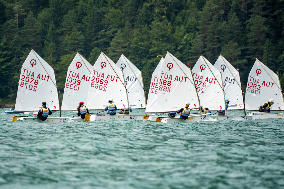 Sailboats with white sails and red markings compete in a regatta on a lake, with a forested shoreline in the background.