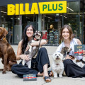 ALTO Petfood dog pralines are now available at BILLA PLUS.