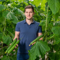 Freshly harvested from Austria: First regional vegetables of the season at BILLA, MERKUR, ADEG and PENNY.