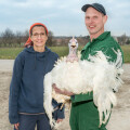 Every 2nd Austrian turkey goes to BILLA and BILLA PLUS. In the picture: Rotheneder family / turkey farm in Burgenland