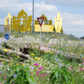 Greening of public areas