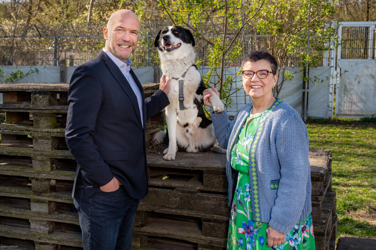 PENNY renounces the sale of fireworks and takes over the sponsorship for 12 dogs from the Viennese animal shelter in Vösendorf