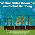 Ja! Natürlich infographic on the new greenhouse of Biohof Geinberg.