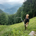 FLORA Region Steyrtal-Kalkalpen. The Bergwiesn Association preserves valuable as well as endangered mountain meadows.