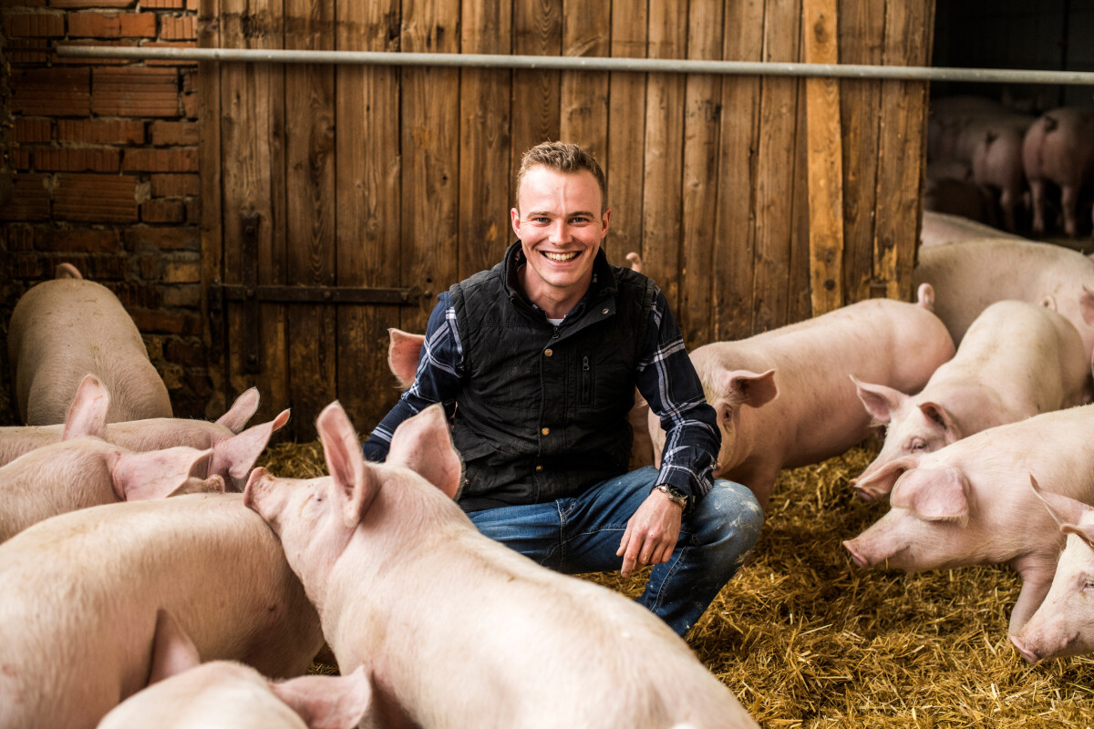 On the farm of the Dirisamer family, there is plenty of room for the pigs to move around and straw to root in and rest on.