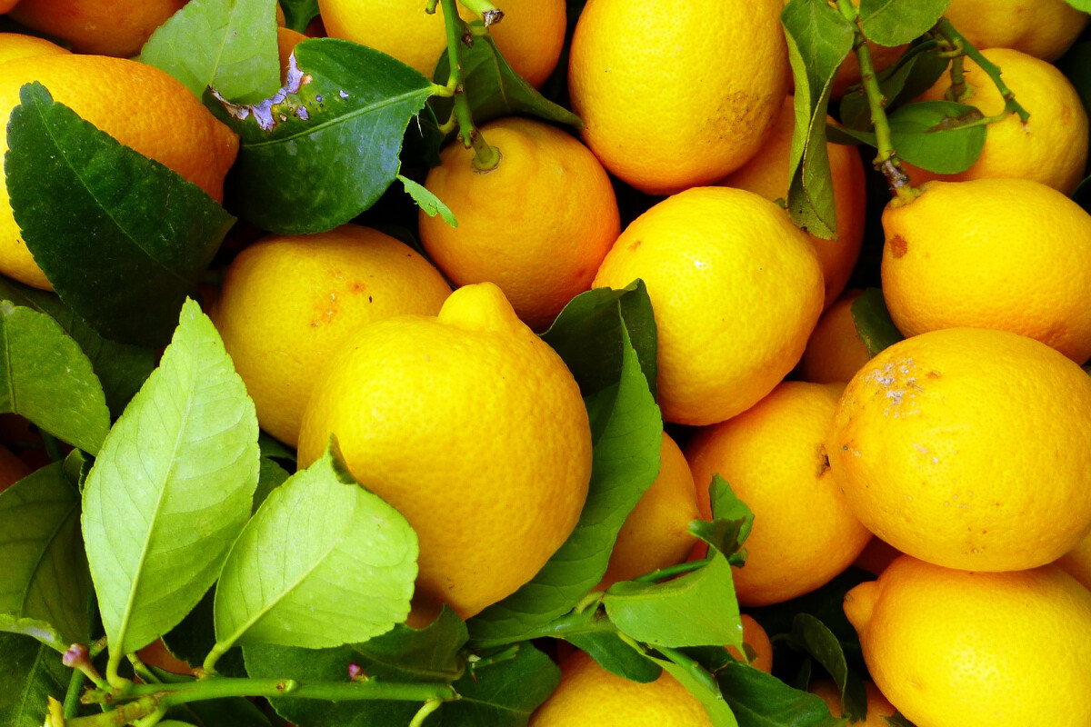 Bei BILLA gibt es die ersten Zitronen aus Österreich.