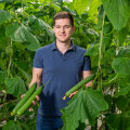 Erntefrisch aus Österreich: Erstes regionales Gemüse der Saison bei BILLA, MERKUR, ADEG und PENNY.