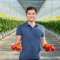 Lieferant Patrick Haider, Geschäftsführer Perlinger Gemüse aus dem Burgenland, freut sich über die gute heurige Ernte.