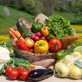 Gesunde Ernährung bedeutet für die Menschen hierzulande vor allem viel Obst und Gemüse zu essen, selbst zu kochen sowie auf Ausgewogenheit und Abwechslung zu achten.
