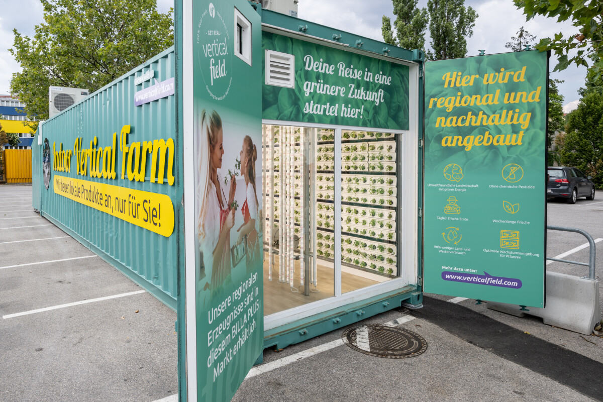 Als erster Lebensmitteleinzelhändler in Österreich testet BILLA in Kooperation mit dem israelischen Agrartechnik-Unternehmen Vertical Field „Vertical Farming