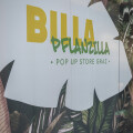 Österreichweit zweiter BILLA PFLANZILLA eröffnet in Grazer Innenstadt und bietet ab sofort zu 100 Prozent pflanzlichen Genuss.