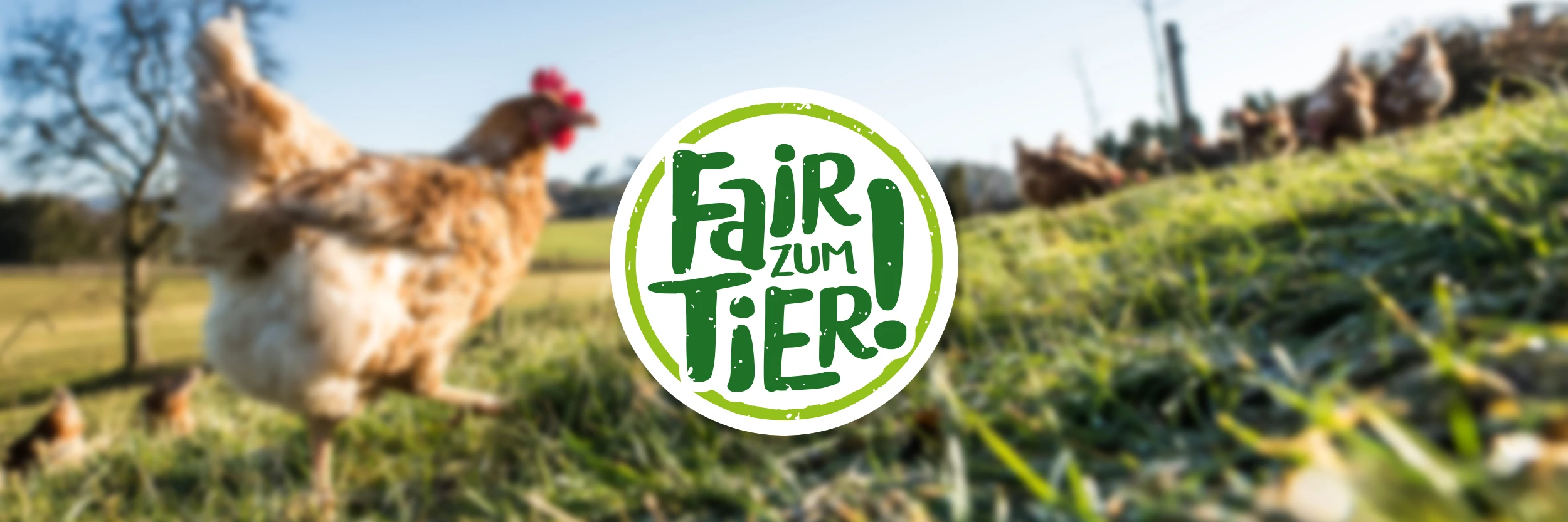 Hennen laufen auf der Wiese und das Logo "Fair zum Tier!"